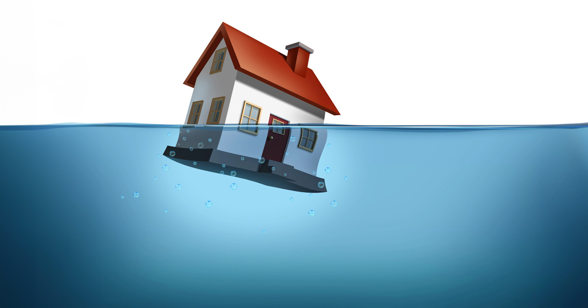 25 03 KW13 Unsplash dIQQeZhLp XL klein Copyright bryan dickerson