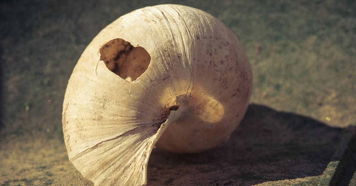 20 07 KW31 Blog Depositphotos 38806917 xl 2015 klein Copyright Yaruta 